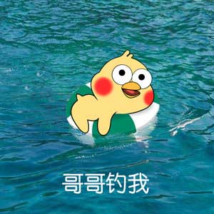哥哥钓我,小黄鸡要哥哥钓表情 哥哥钓我,小黄鸡要哥哥钓表情