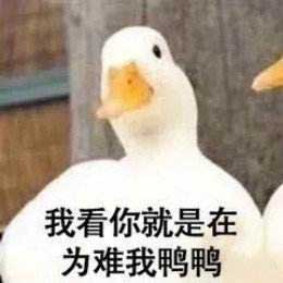 我看你就是在为难我鸭鸭