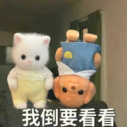 我倒要看看!森贝尔玩具表情 我倒要看看!森贝尔玩具表情