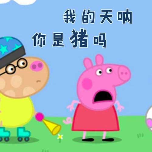 我的天呐！你是猪吗？佩奇说某人是猪