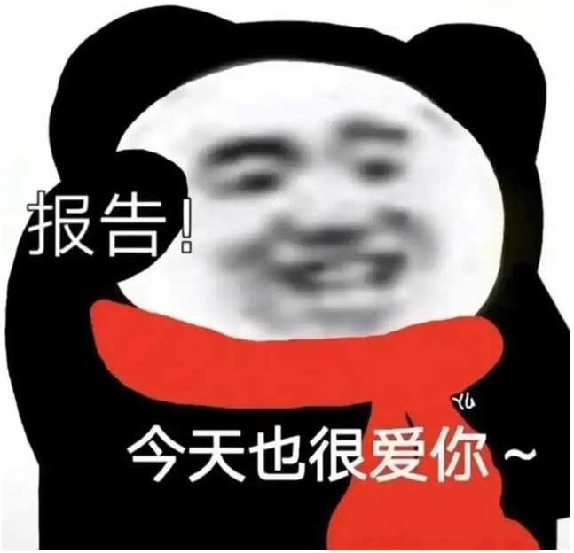 报告 ，今天也很爱你