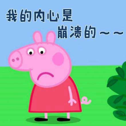 我的内心是崩溃的 我的内心是崩溃的