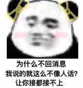 为什么不回消息我说的就这么不像人话?让你接都接不上(熊猫头表情包)