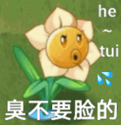 he tui 臭不要脸的