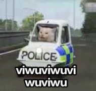 POLICE VIWUVIWUV WUVIWU (猫咪出警表情包)