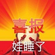 喜报娃睡了