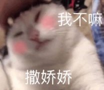 我不嘛撒娇娇(猫咪表情包)