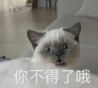 你不得了哦