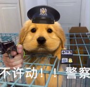 POLICE FBI 不许动!警察(狗勾表情包)