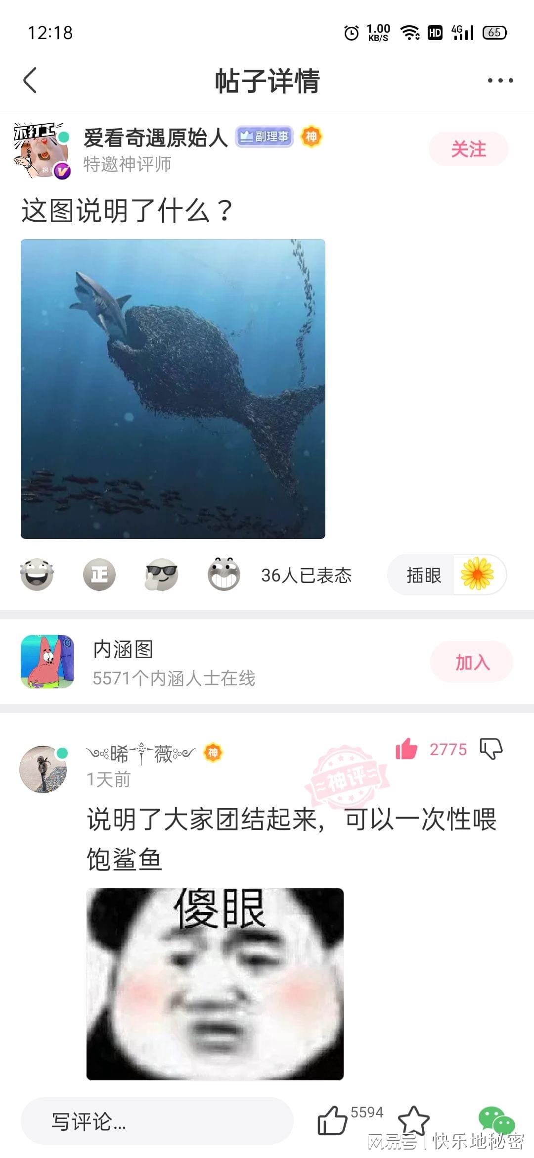 神回复：姓朱的女孩子叫什么名字好听？