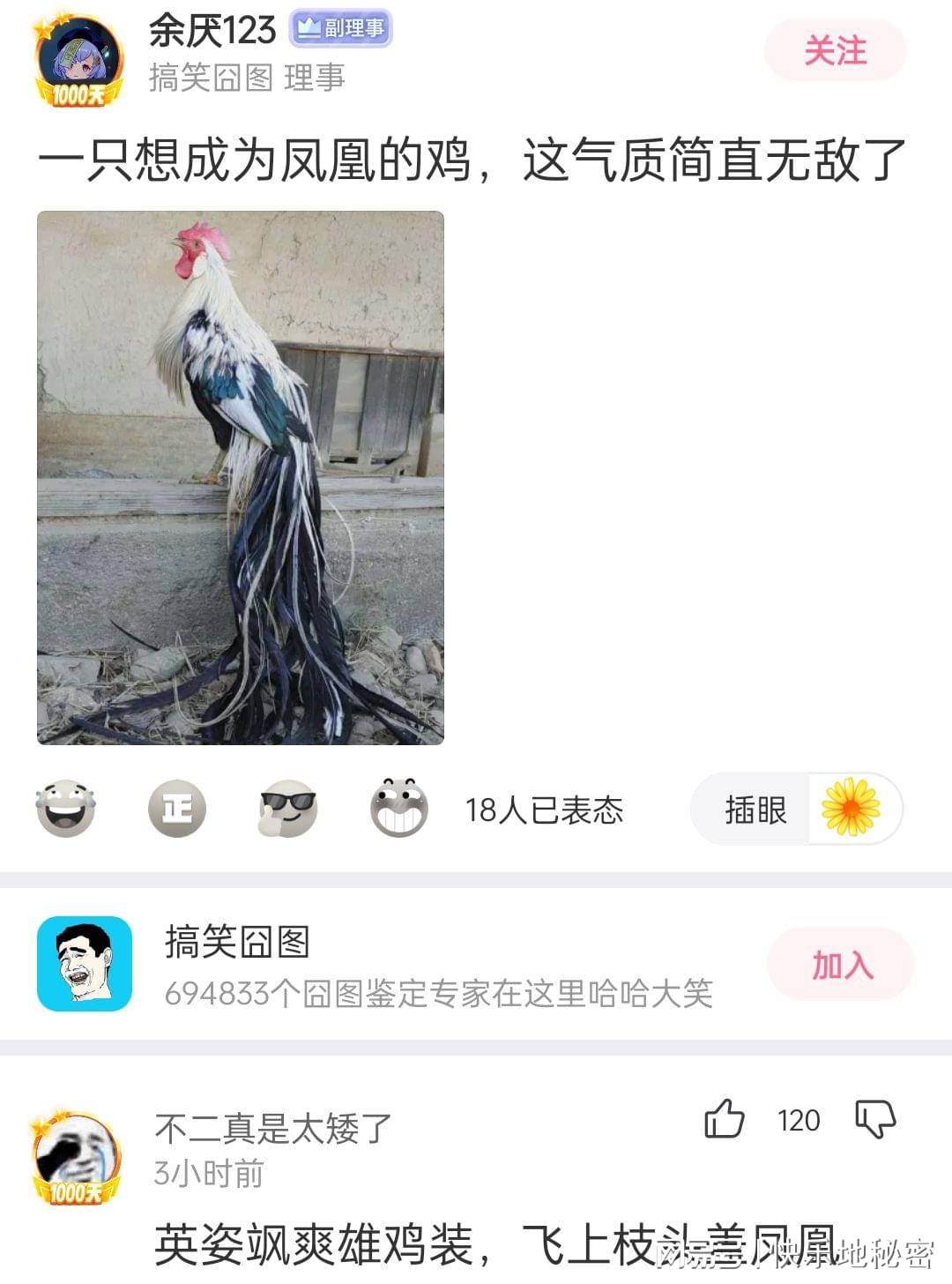 神回复:姓朱的女孩子叫什么名字好听? 神回复:姓朱的女孩子叫什么名字好听?