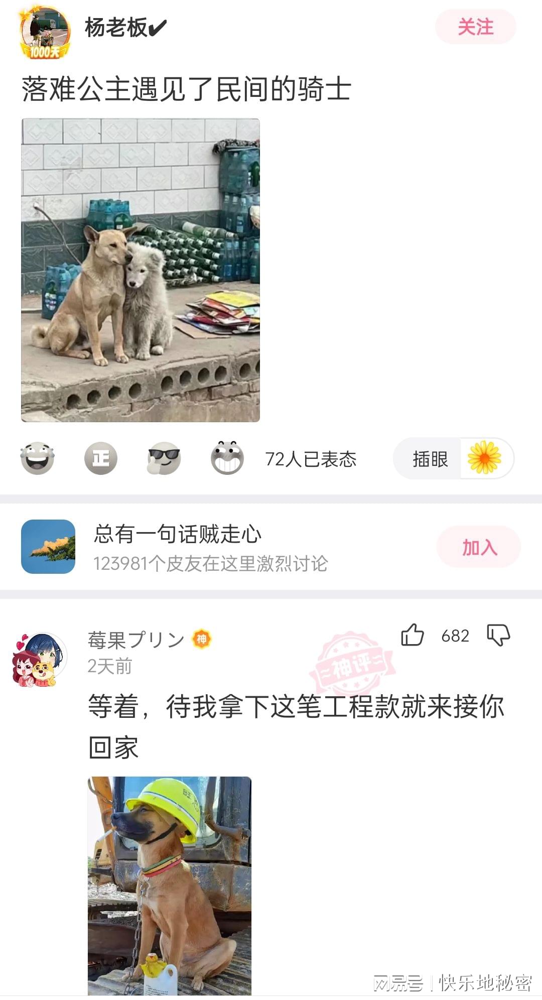神回复:假如碰见18岁的妈妈,你会对她说什么? 神回复:假如碰见18岁的妈妈,你会对她说什么?
