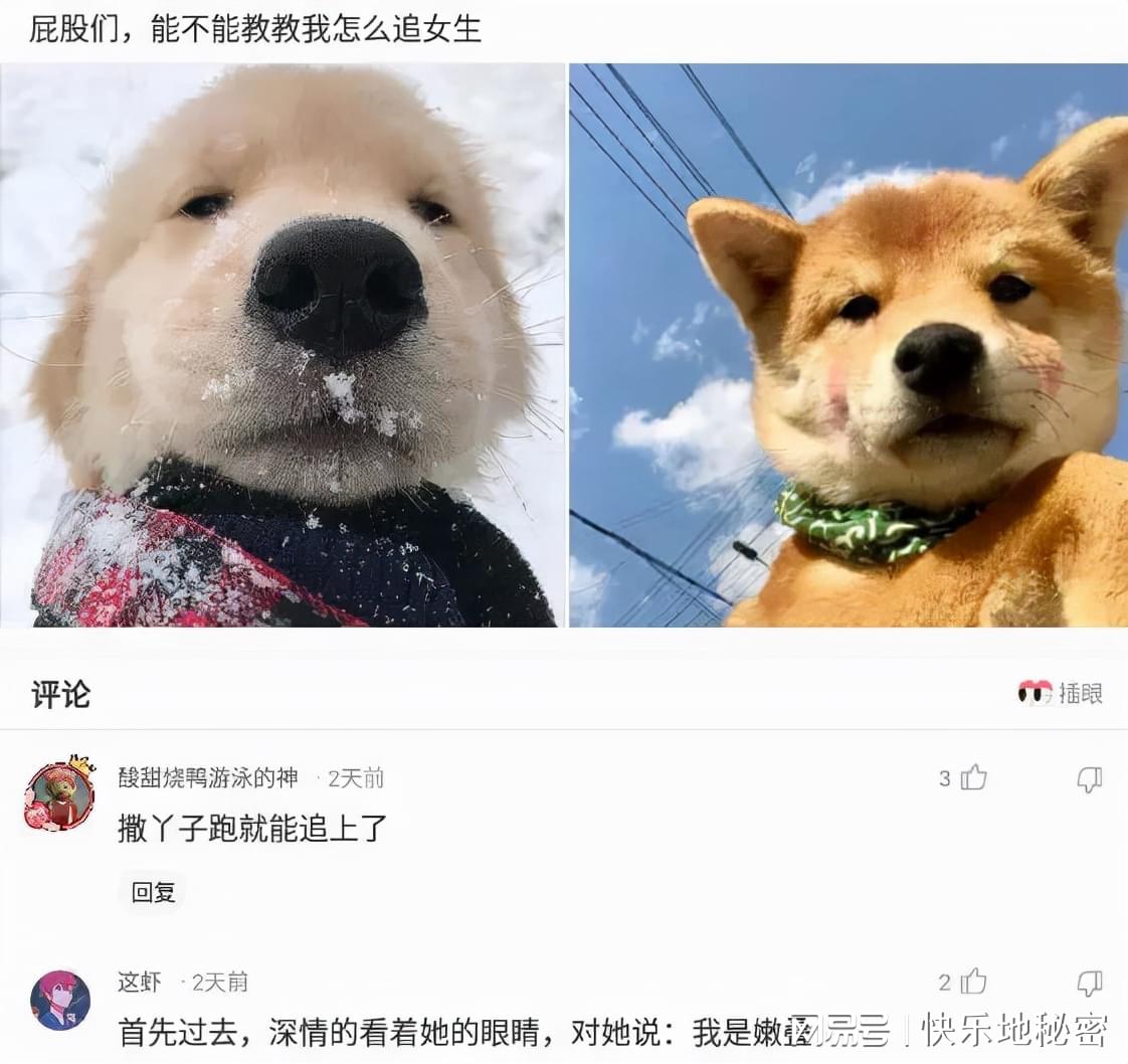 神回复:为什么老人家坐车免费还要刷一下卡? 神回复:为什么老人家坐车免费还要刷一下卡?