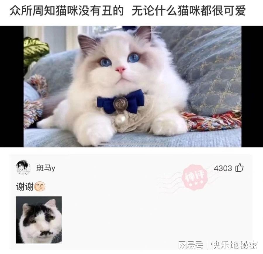 神回复:为什么老人家坐车免费还要刷一下卡? 神回复:为什么老人家坐车免费还要刷一下卡?