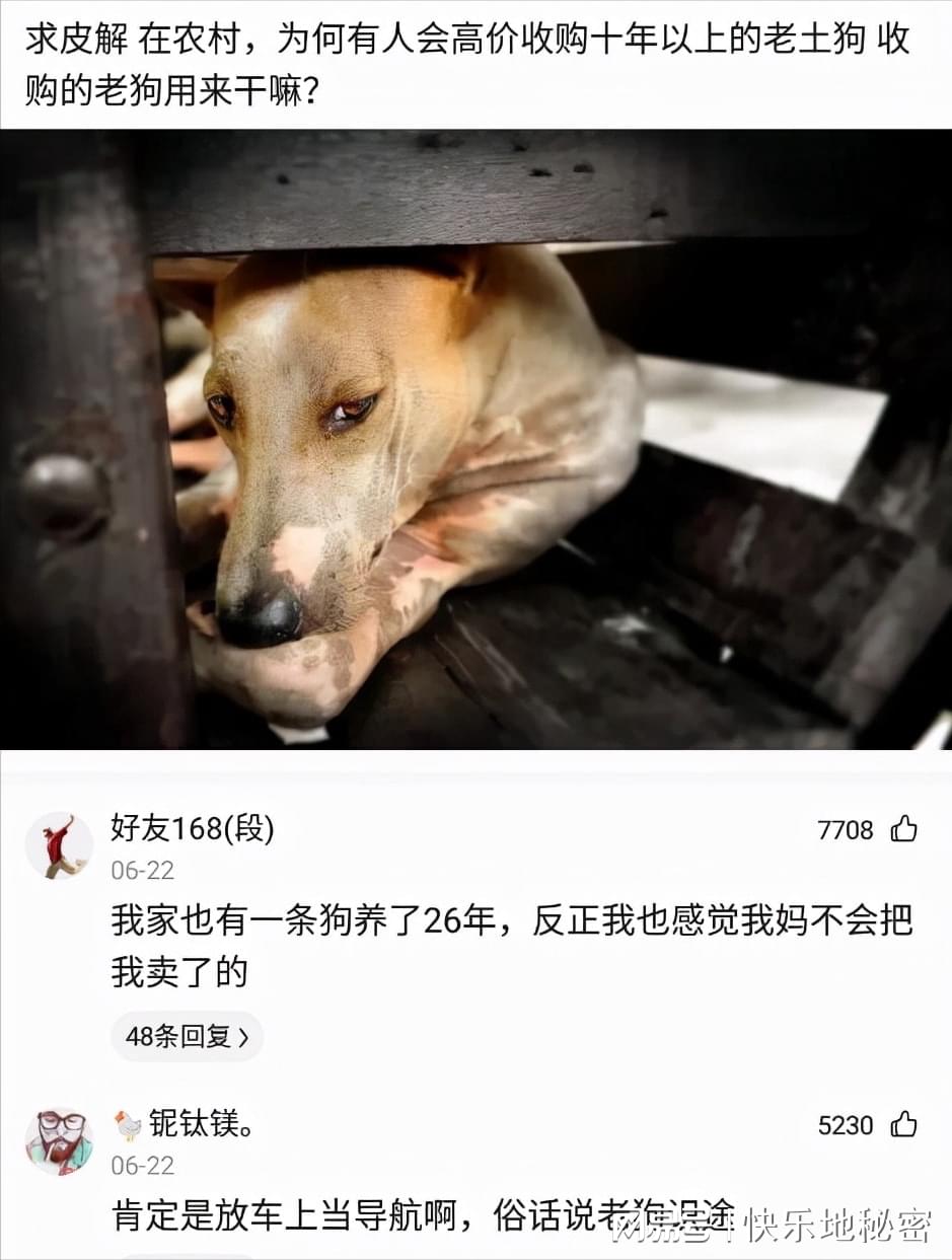 神回复:古代百姓都买不起盐,觉得盐很贵,那他们烧菜都用什么? 神回复:古代百姓都买不起盐,觉得盐很贵,那他们烧菜都用什么?