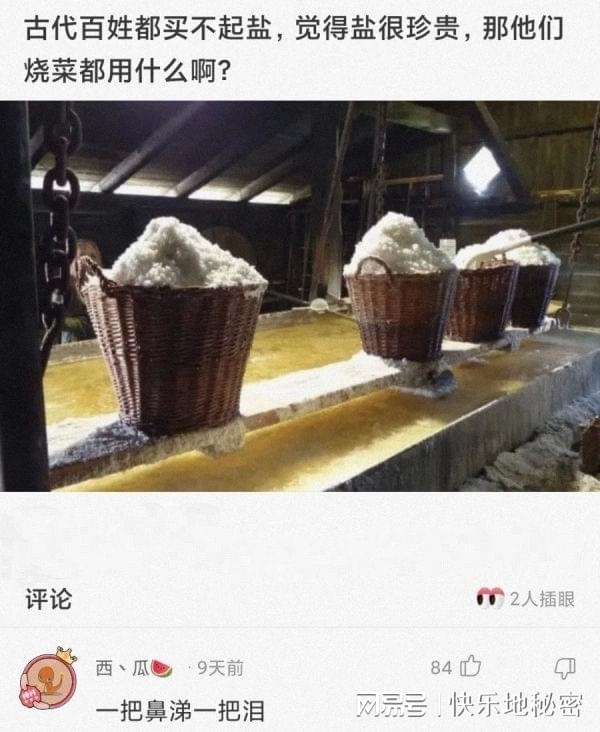 神回复:古代百姓都买不起盐,觉得盐很贵,那他们烧菜都用什么? 神回复:古代百姓都买不起盐,觉得盐很贵,那他们烧菜都用什么?