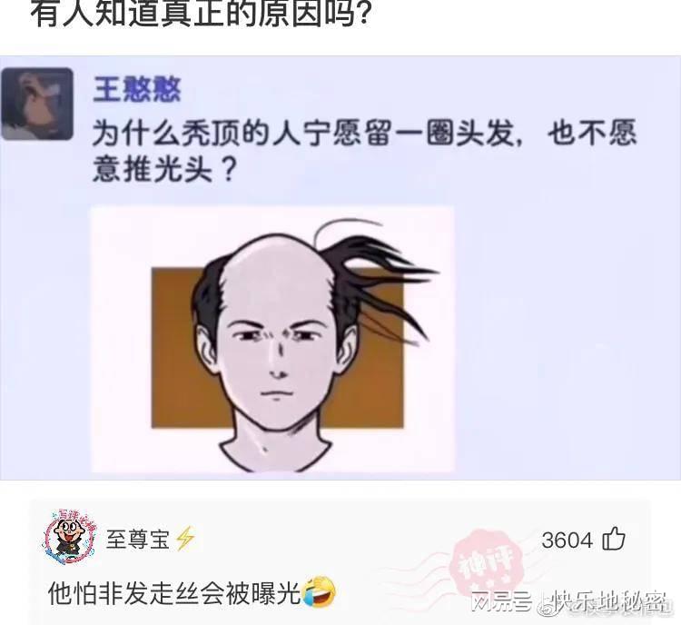 神回复：电影里有哪些让你念念不忘的经典台词？