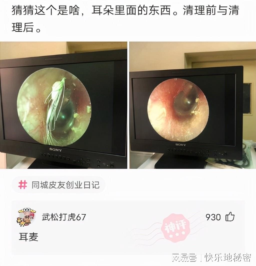 神回复:“慢性自杀”排行榜,你占了几条? 神回复:“慢性自杀”排行榜,你占了几条?