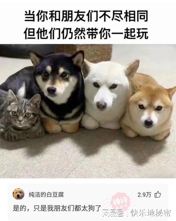 神回复:7棵树栽成3行,每行三棵怎么栽? 神回复:7棵树栽成3行,每行三棵怎么栽?