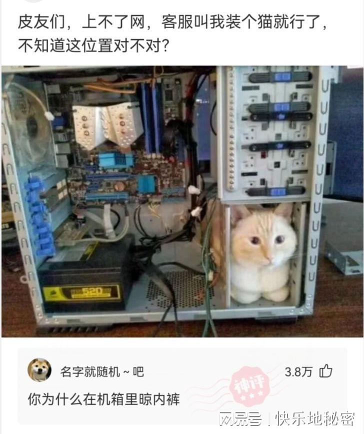 神回复:韩国为什么没有高铁?不是挺发达的吗? 神回复:韩国为什么没有高铁?不是挺发达的吗?