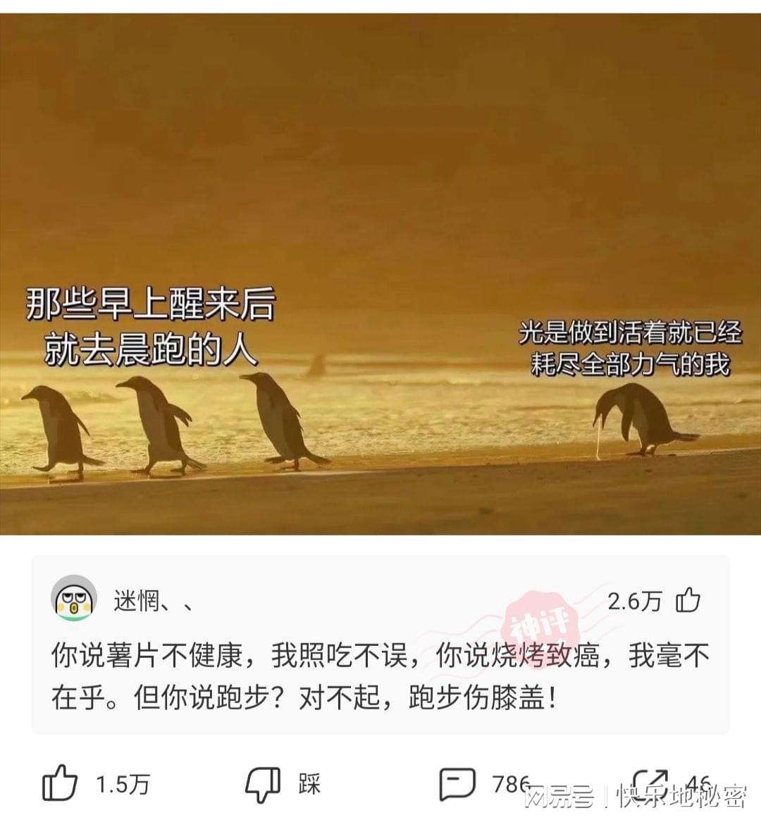 神回复:韩国为什么没有高铁?不是挺发达的吗? 神回复:韩国为什么没有高铁?不是挺发达的吗?