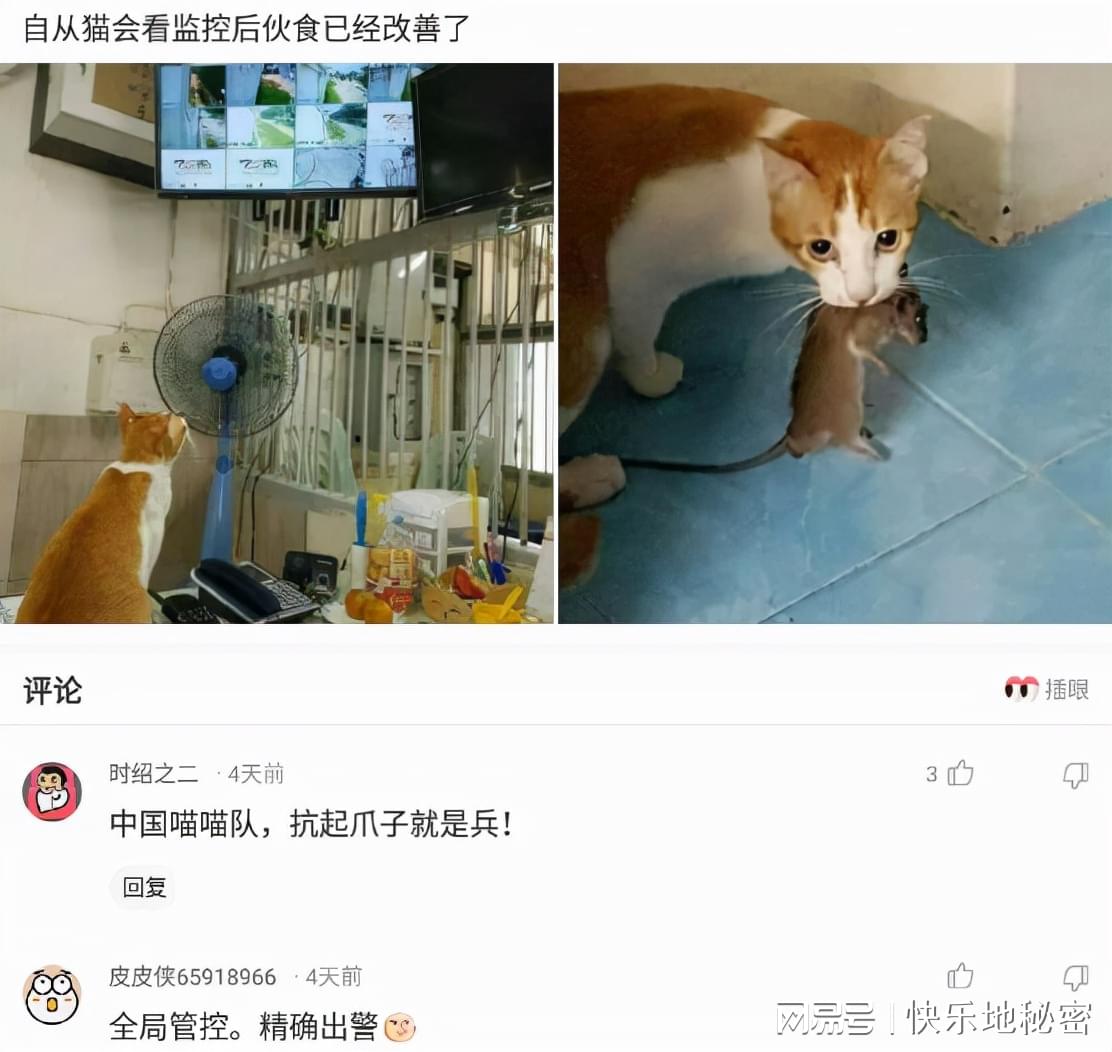 神回复：有什么菜让你连续吃一个月都不会腻？