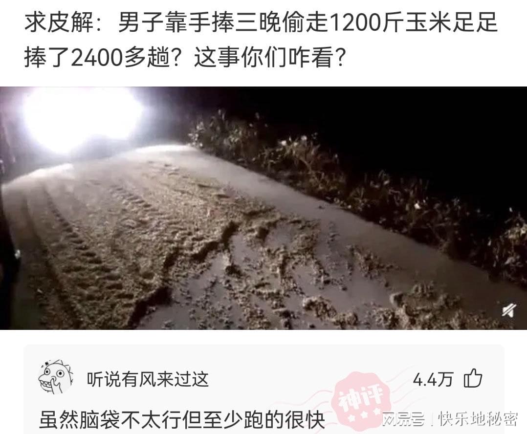 神回复：有什么菜让你连续吃一个月都不会腻？