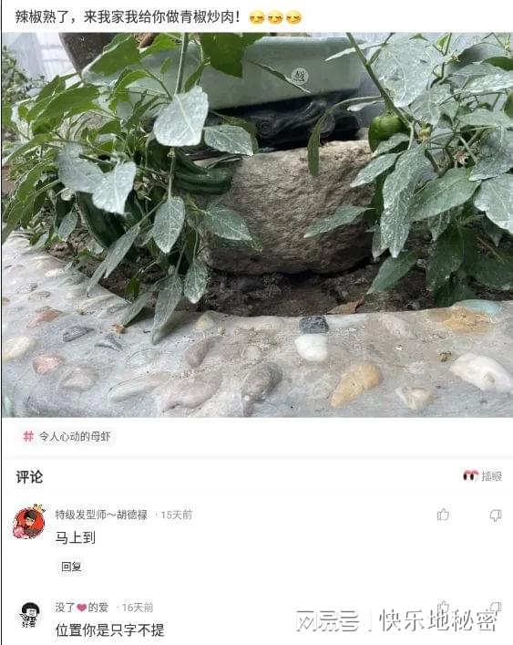 神回复:班主任总是从后面偷袭怎么办? 神回复:班主任总是从后面偷袭怎么办?