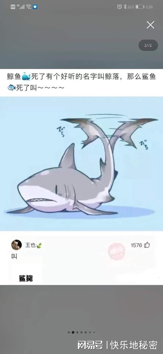 神回复:鲸鱼死了有个好听的名字叫鲸落,那么鲨鱼死了叫什么? 神回复:鲸鱼死了有个好听的名字叫鲸落,那么鲨鱼死了叫什么?