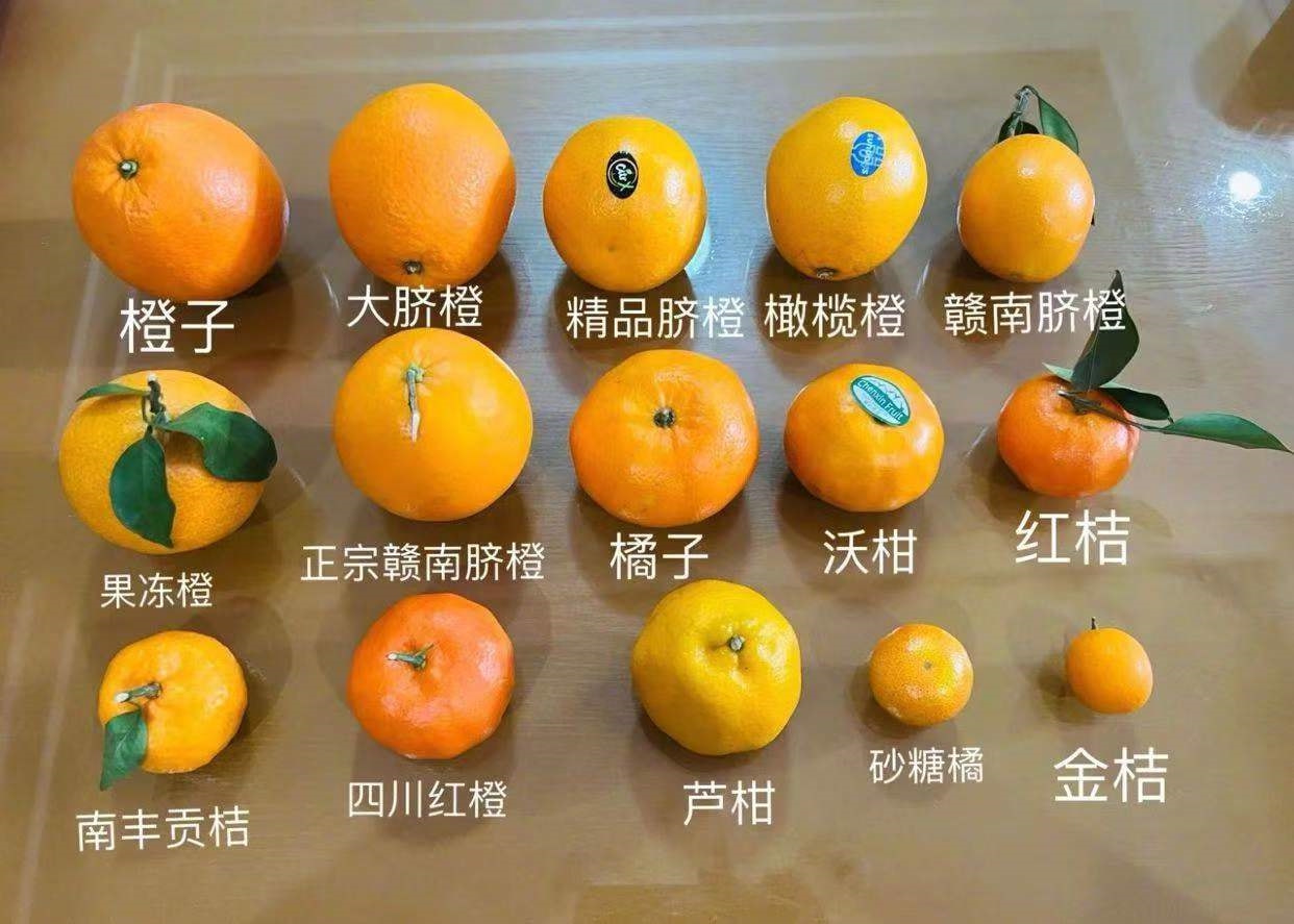 轻松一刻:在广东,叫人一声“靓仔”竟有这么重要 轻松一刻:在广东,叫人一声“靓仔”竟有这么重要