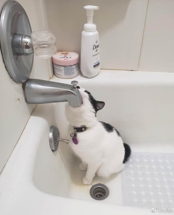 轻松一刻:大错特错了,冬至根本没有吃饺子的风俗! 轻松一刻:大错特错了,冬至根本没有吃饺子的风俗!