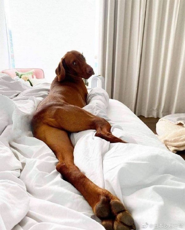 轻松一刻:大错特错了,冬至根本没有吃饺子的风俗! 轻松一刻:大错特错了,冬至根本没有吃饺子的风俗!