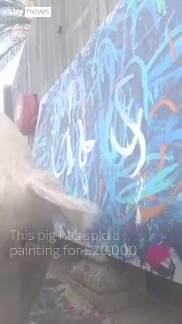 轻松一刻：你我本无缘，全凭这奶白的雪子！