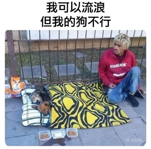 轻松一刻:你我本无缘,全凭这奶白的雪子! 轻松一刻:你我本无缘,全凭这奶白的雪子!