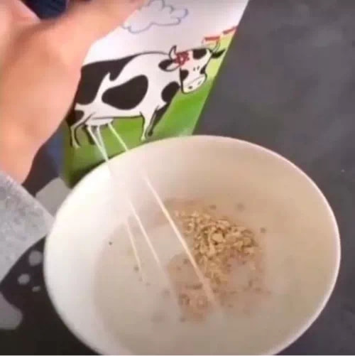 轻松一刻:你我本无缘,全凭这奶白的雪子! 轻松一刻:你我本无缘,全凭这奶白的雪子!