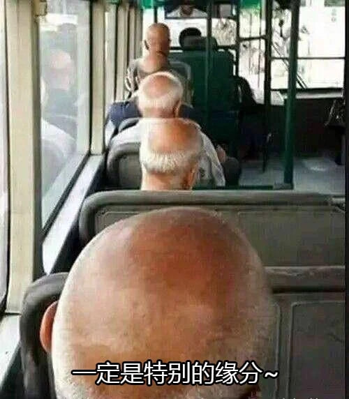 轻松一刻:你我本无缘,全凭这奶白的雪子! 轻松一刻:你我本无缘,全凭这奶白的雪子!
