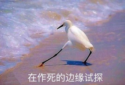 外国老哥挑战徒手拿鳄龟,结果悲剧了 外国老哥挑战徒手拿鳄龟,结果悲剧了