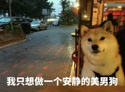 轻松一刻:你和苍老师好像呀!有三分之二很像 轻松一刻:你和苍老师好像呀!有三分之二很像