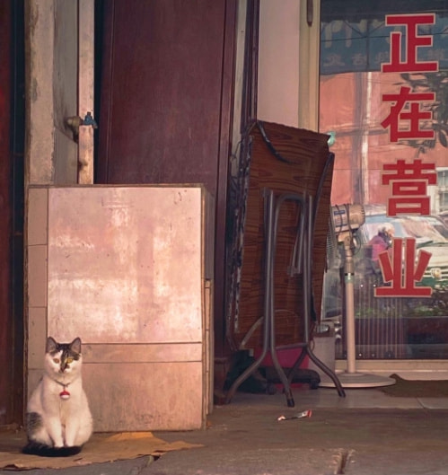 轻松一刻:你和苍老师好像呀!有三分之二很像 轻松一刻:你和苍老师好像呀!有三分之二很像