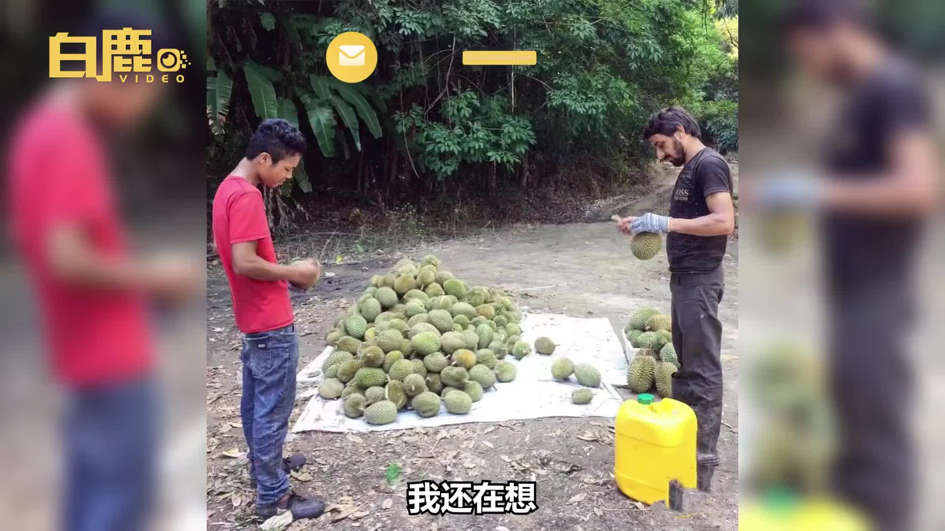 轻松一刻：你和苍老师好像呀！有三分之二很像