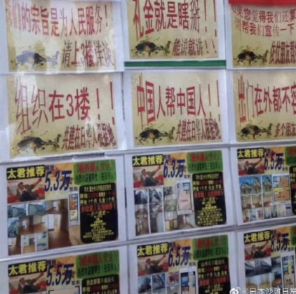 轻松一刻:你和苍老师好像呀!有三分之二很像 轻松一刻:你和苍老师好像呀!有三分之二很像