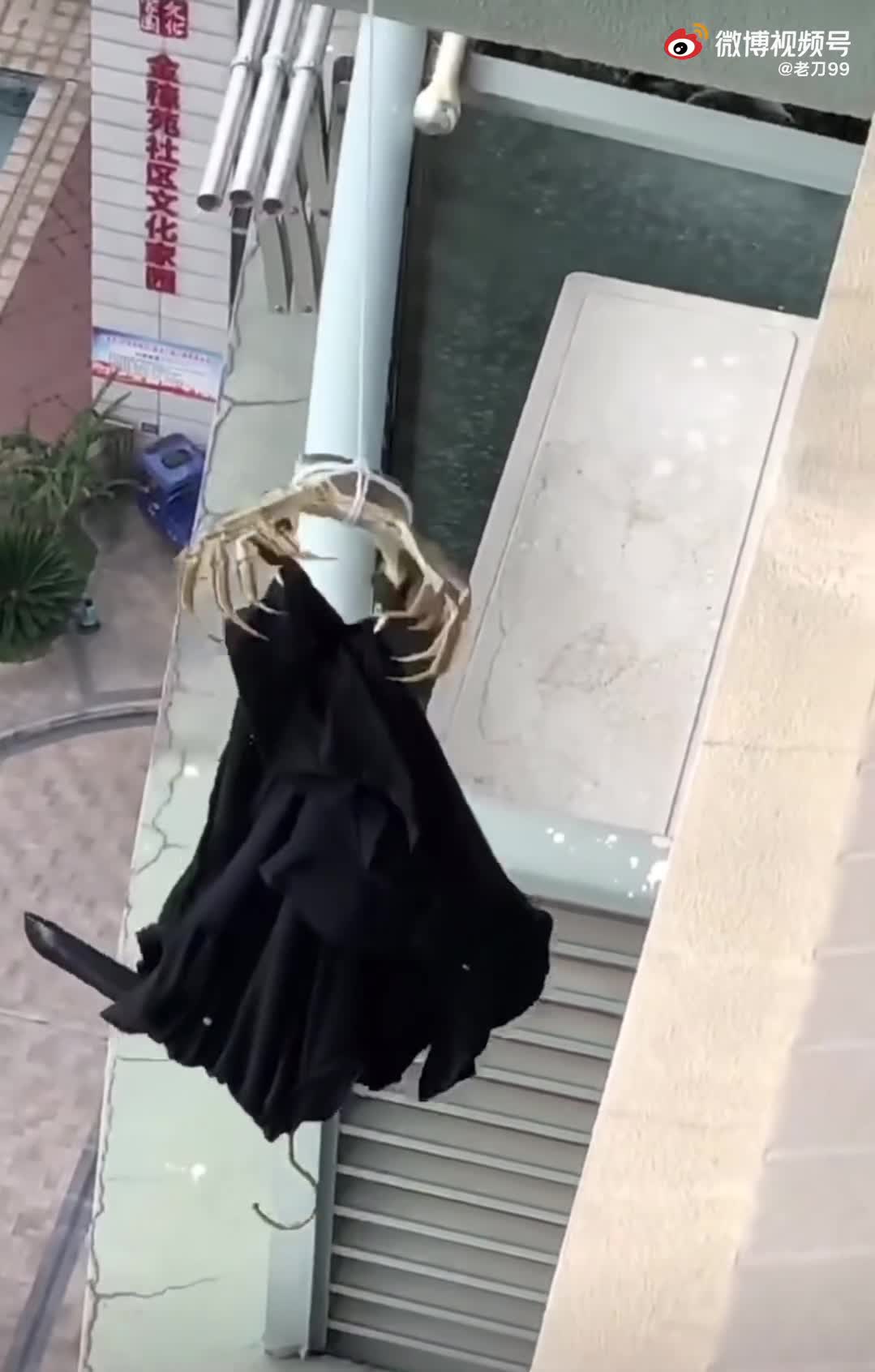 轻松一刻：你和苍老师好像呀！有三分之二很像