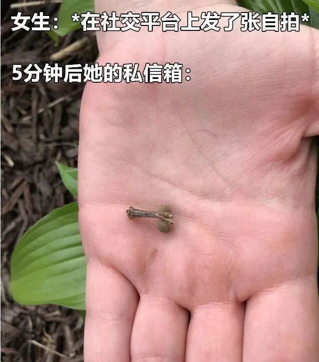 轻松一刻:男人兜里没有钱,出门办事狗都嫌! 轻松一刻:男人兜里没有钱,出门办事狗都嫌!