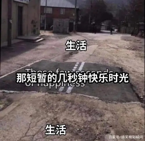 轻松一刻:这哪是厨房啊,这是盘丝洞吧? 轻松一刻:这哪是厨房啊,这是盘丝洞吧?