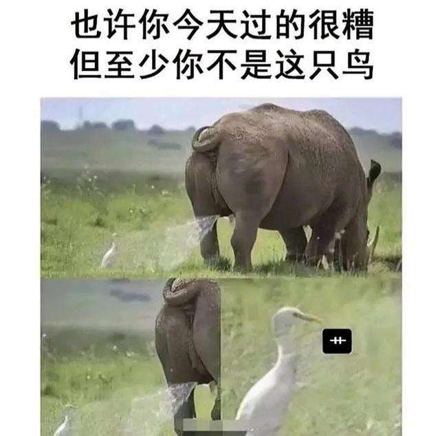 轻松一刻:这哪是厨房啊,这是盘丝洞吧? 轻松一刻:这哪是厨房啊,这是盘丝洞吧?