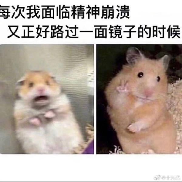 轻松一刻:这哪是厨房啊,这是盘丝洞吧? 轻松一刻:这哪是厨房啊,这是盘丝洞吧?