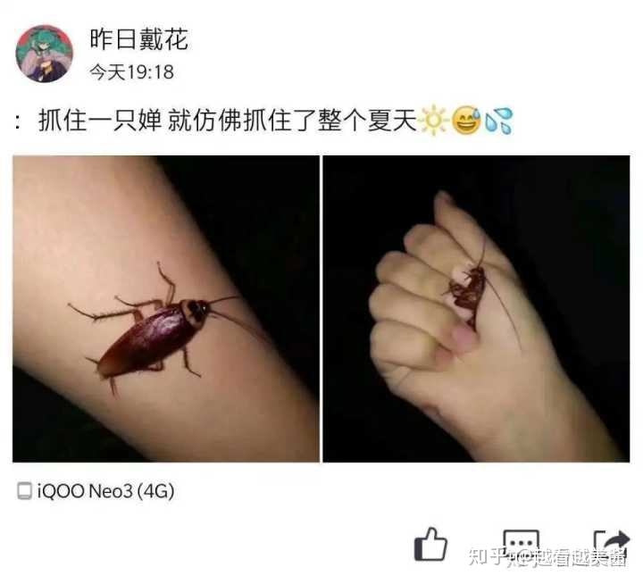 轻松一刻:这哪是厨房啊,这是盘丝洞吧? 轻松一刻:这哪是厨房啊,这是盘丝洞吧?