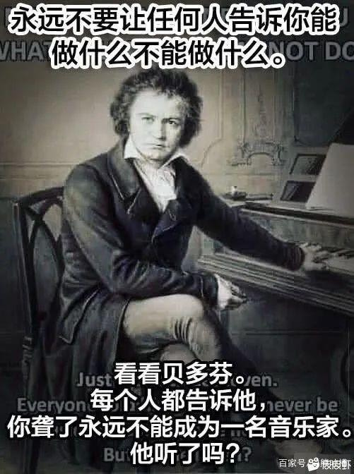轻松一刻:这哪是厨房啊,这是盘丝洞吧? 轻松一刻:这哪是厨房啊,这是盘丝洞吧?