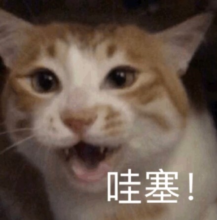 极品瑜伽女教练贴身辅导却被男学员投诉 极品瑜伽女教练贴身辅导却被男学员投诉