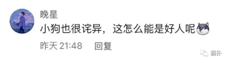 轻松一刻:打工是不可能打工的,只有偷电缆维持生活 轻松一刻:打工是不可能打工的,只有偷电缆维持生活
